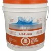 Aquarius Cal-Boost Pool Conditioner For Swimming Pools, 7-kg -Aquarius store aquarius pool calboost 7kg 8cb0be02 4fcd 4d68 804d 7dad6d51e310